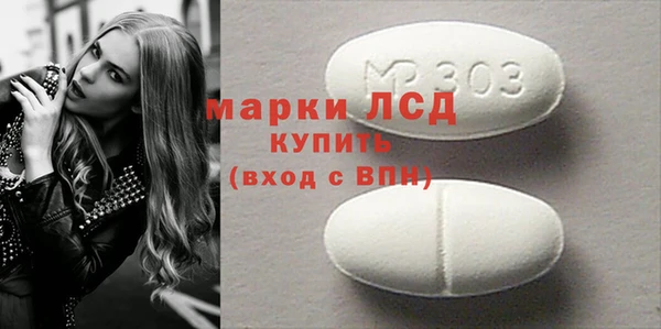 стаф Алзамай