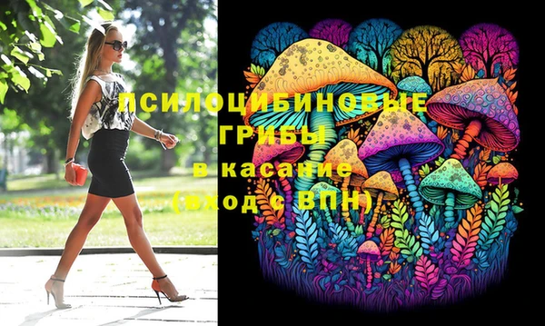 стаф Алзамай