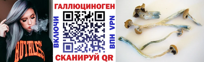 Псилоцибиновые грибы GOLDEN TEACHER наркотики Осташков